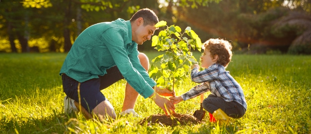 latest-fostering-news-england latest-fostering-news-england